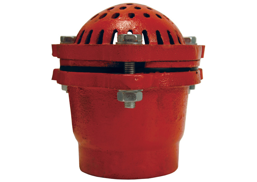 Cast Iron Threaded Foot Valve